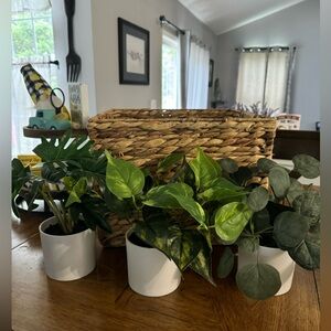 COPY - Lot of faux potted plants and hanging plant.